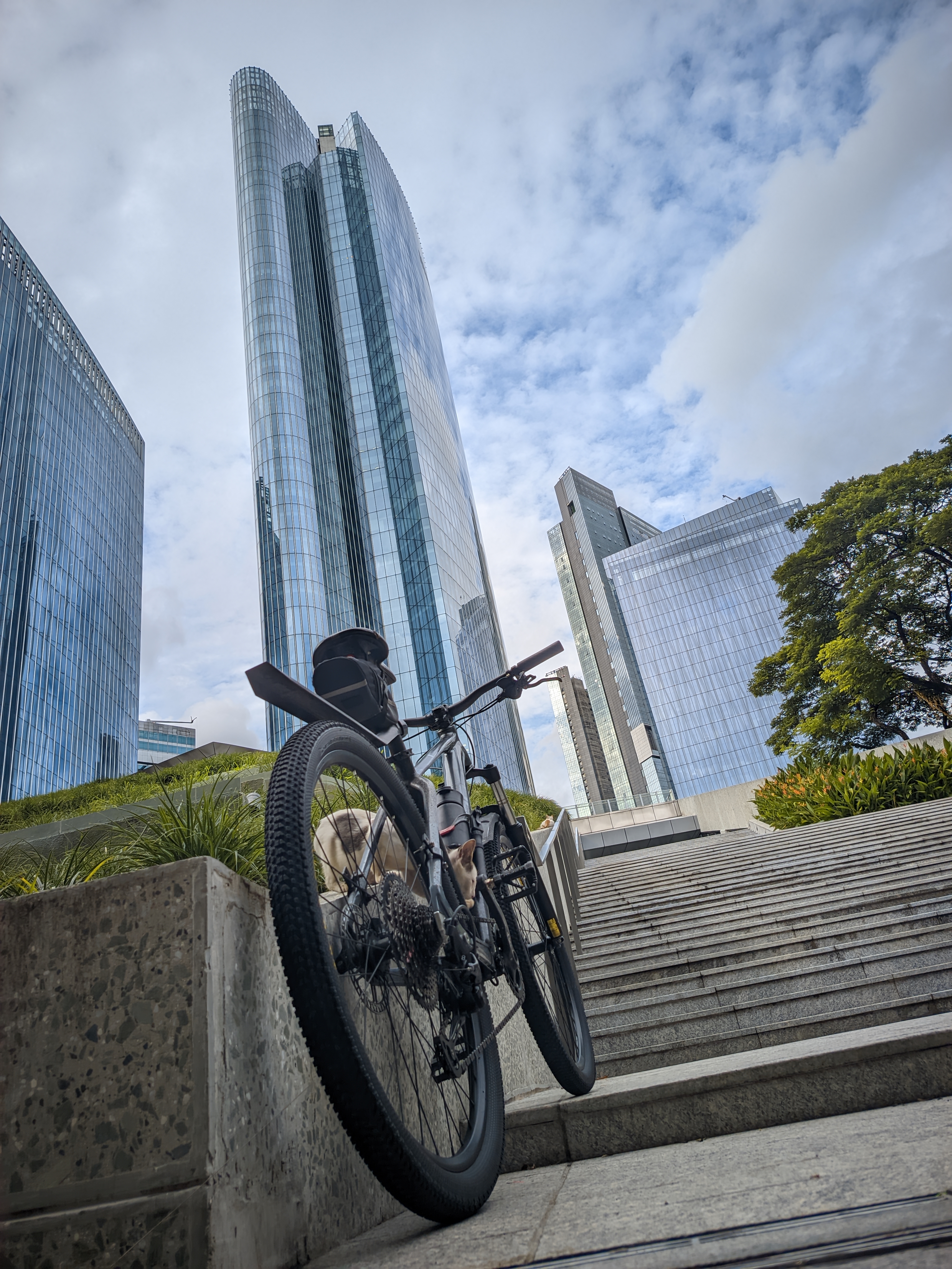 A mountain bike parked at the bottom of a set of stairs leading up to a large skyscaper. A light brown cat is inspecting the bicycle.