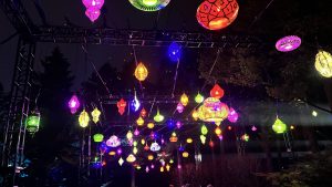 View larger photo: Varied decorative lights with rainbow colored lights illuminating them at night at illumination: tree lights (the morton arboretum, lisle, illinois)