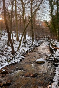  Winter wonderland snowy landscape focused in the river Ilse, near the town of Ilsenburg, Niedersachsen, Germany.