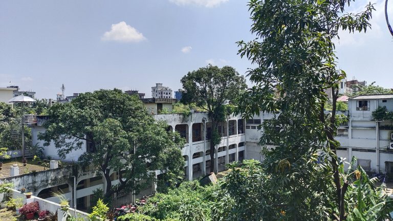 A serene courtyard view featuring lush trees surrounding a charming building, inviting tranquility and nature’s beauty.