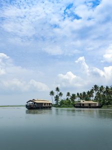 View larger photo: Two houseboats anchored in a calm backwater, surrounded by palm trees and a cloudy blue sky.