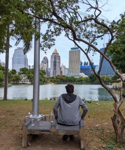 A person on a bench in Lumphini Park, facing a peaceful lake, with a backdrop of Bangkok’s modern skyline and nearby pigeons