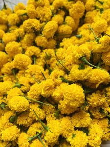 A large pile of vibrant yellow marigold flowers with green stems.