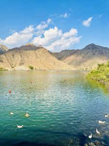  The photo shows a beautiful view of Al Rafisah Dam in Sharjah, United Arab Emirates The clear blue water reflects the green trees and rocky mountains around it. Many ducks in the water.