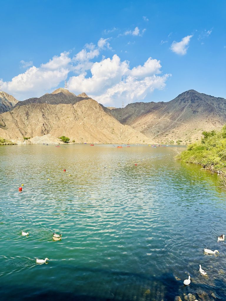 The photo shows a beautiful view of Al Rafisah Dam in Sharjah, United Arab Emirates The clear blue water reflects the green trees and rocky mountains around it. Many ducks in the water.