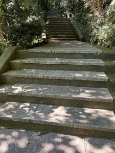 Concrete walking stairs with nature surroundings