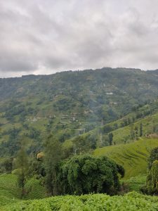  Long view across green hills with homes scattered about on Kakani - Near Kathmandu 