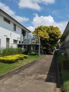 Concrete road between two buildings, with grass on both sides and a tree with yellow leaves. Steel stairs leads up to a second story entrance.