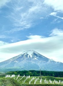 Mount Fuji in the distance, cemetery in the foreground.
