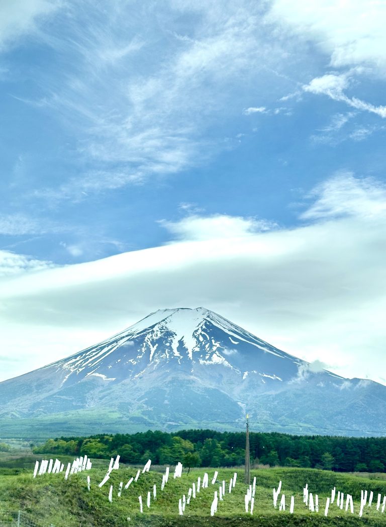 Mount Fuji in the distance, cemetery in the foreground.