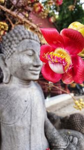 View larger photo: Budha statue in background of a Shivalinga/Ayahuma flower in Royal Palace, Phoem Phen Cambodia