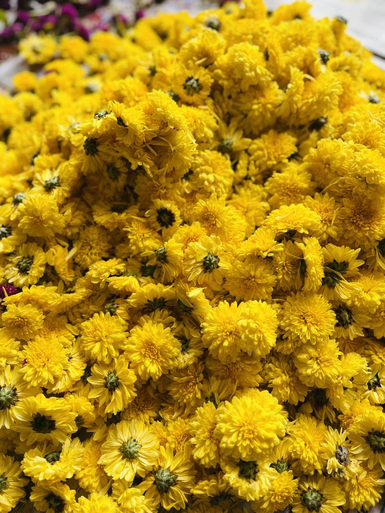 Yellow Jamanthi flowers