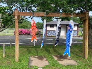 View larger photo: 千葉県大網白里市　小中池　鯉のぼり　/　Koinakaike Pond, Ooamishirasato-shi, Chiba, Japan Carp streamers