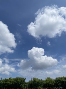 Cumulus clouds in a blue sky above green trees.