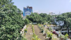 View larger photo: A rooftop garden featuring lush trees and vibrant plants, showcasing a green oasis above the cityscape.