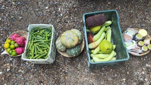 Fresh assortment of fruits and vegetables arranged in a basket.