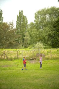 Two children stand on a grassy field near a fence, with a backdrop of tall trees and greenery. One child holds a toy, while the other looks on, both enjoying a calm, outdoor setting under an overcast sky.