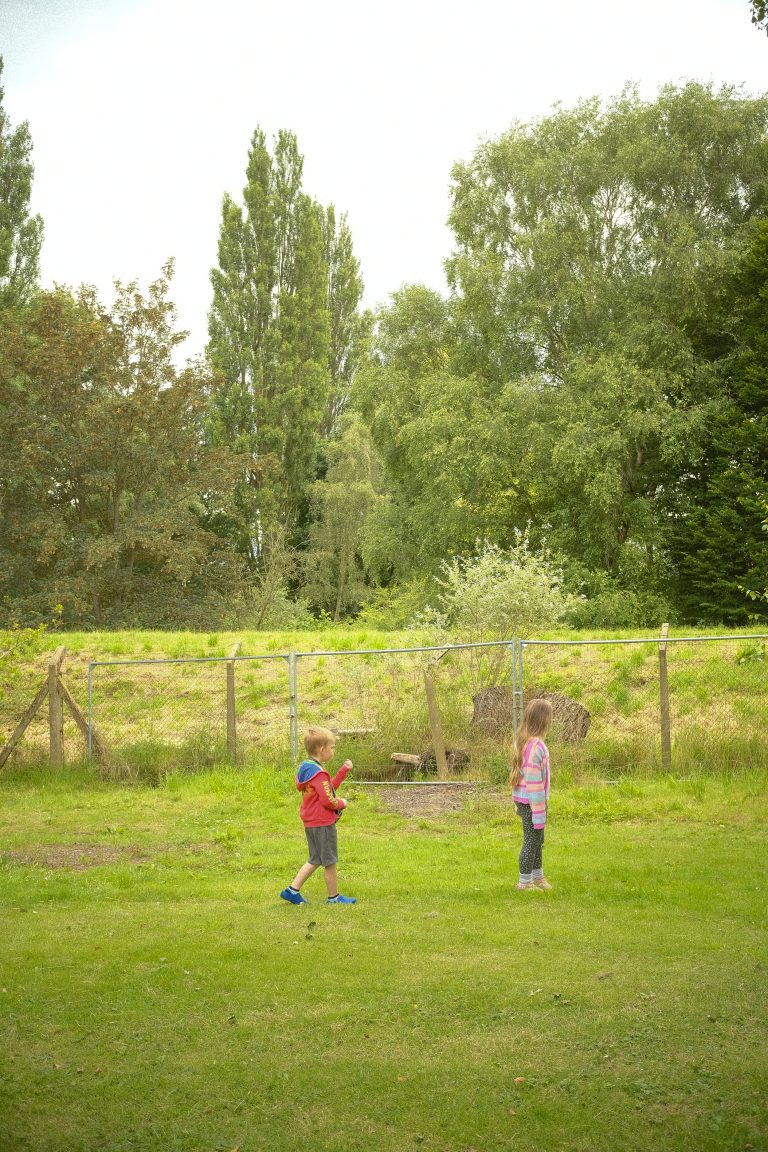 Two children stand on a grassy field near a fence, with a backdrop of tall trees and greenery. One child holds a toy, while the other looks on, both enjoying a calm, outdoor setting under an overcast sky.