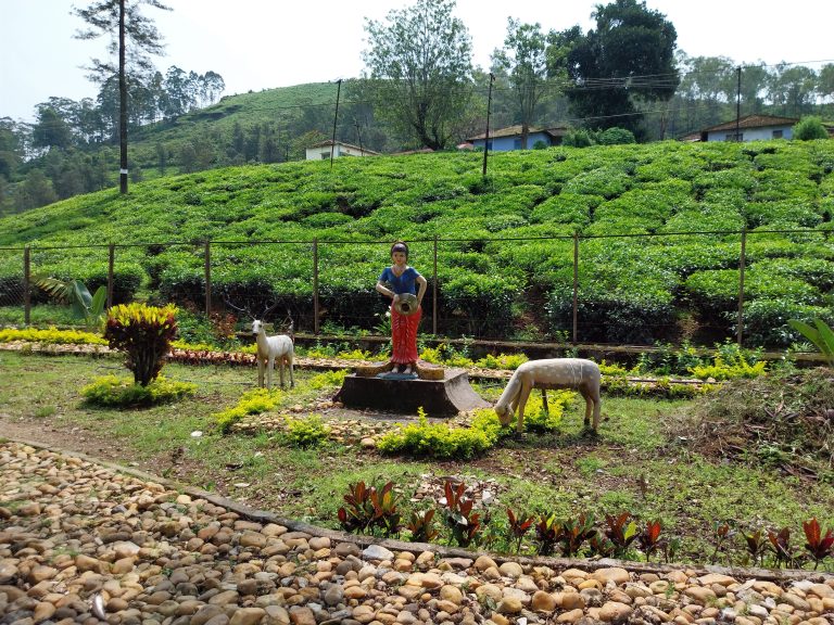 A small park alongside a tea plantation.