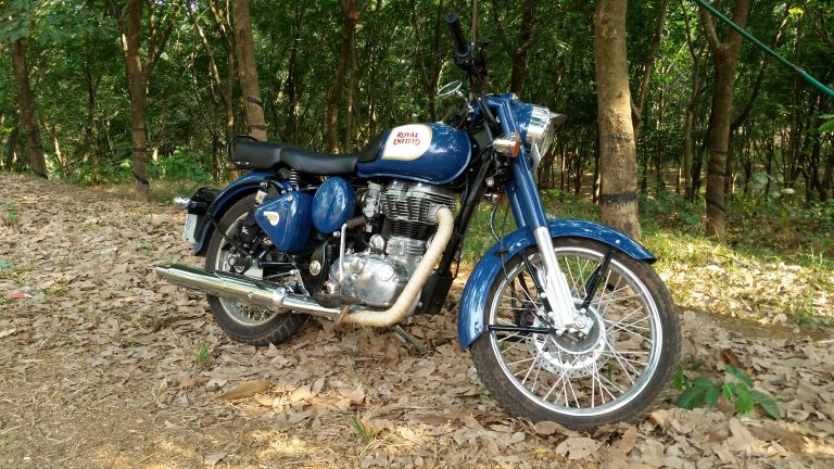 A motorcycle on dried leaves in front of a copse of trees.