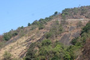 View larger photo: A steep hillside with sparse green vegetation and exposed dark rocks. 