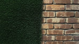 A textured brick wall stands tall beside a vibrant patch of green grass, creating a striking contrast in the scene.