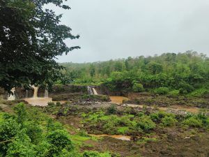 Waterfall flows through a lush green forest, surrounded by vibrant trees.