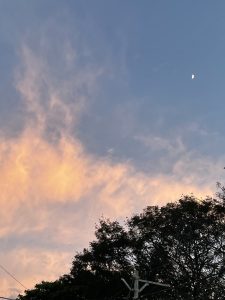 View larger photo: Evening view of sky