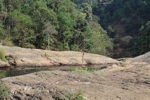 View larger photo: A small water stream in a mountain.