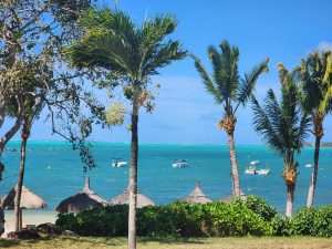 View larger photo: Beautiful beach with palm trees and boats in the blue waters.