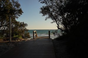 View larger photo: Wooden pathway leading to a flight of stairs with wooden railings that ends on a beach. 