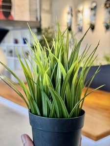 Plastic plant for desk decoration.