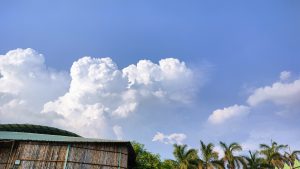 View larger photo: A clear sky adorned with fluffy white clouds over trees and a rooftop.