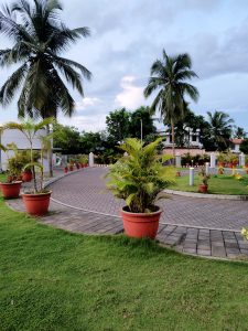 A perfect blend of greenery and technology at Cyber Park.