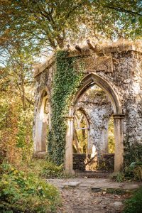 View larger photo: A ruined stone structure with arched windows is covered in ivy and surrounded by dense woodland. The sunlight filters through the trees, casting a warm glow on the weathered stone, enhancing the peaceful and overgrown atmosphere. The mixture of nature reclaiming the ruins gives the scene an ancient, serene feel.