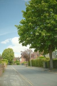 View larger photo: A quiet residential street lined with tall, leafy trees and brick houses on a sunny day. The sky is clear with a few clouds, and the road and pavement are empty, creating a peaceful, suburban atmosphere.