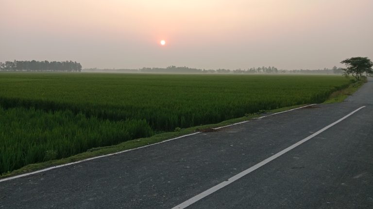 A serene landscape featuring a green field under a hazy sky with the sun setting in the background. A paved road runs alongside the field, leading toward the horizon where a row of trees is visible.