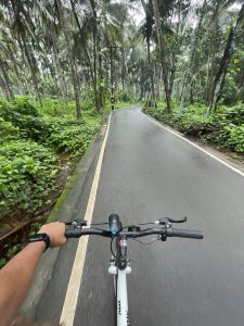 View larger photo: Riding through the peaceful, tree-lined path on a rainy day, with one hand on the handlebar and the road glistening ahead.