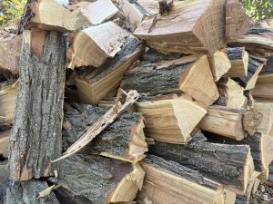 Stacked cut firewood from a Black Lotus tree