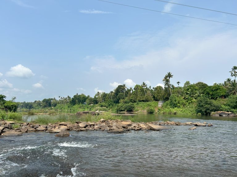 A scenic view of a river with small rapids in the foreground and surrounded by lush greenery and trees.