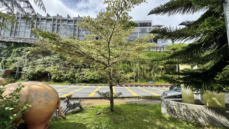 In a serene park, a delightful pig statue captures attention, nestled among the greenery and inviting visitors to enjoy the view.