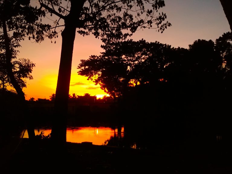 A serene scene of a sunset with vibrant orange and yellow hues in the sky, silhouetting trees and reflecting on a calm pond below.