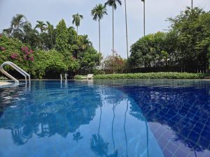 A tranquil swimming pool surrounded by lush greenery and tall palm trees. Bright pink flowers add a pop of color to the verdant landscape. A metal pool ladder is visible in the foreground, and a white deck chair is in the background near the pool's edge. 