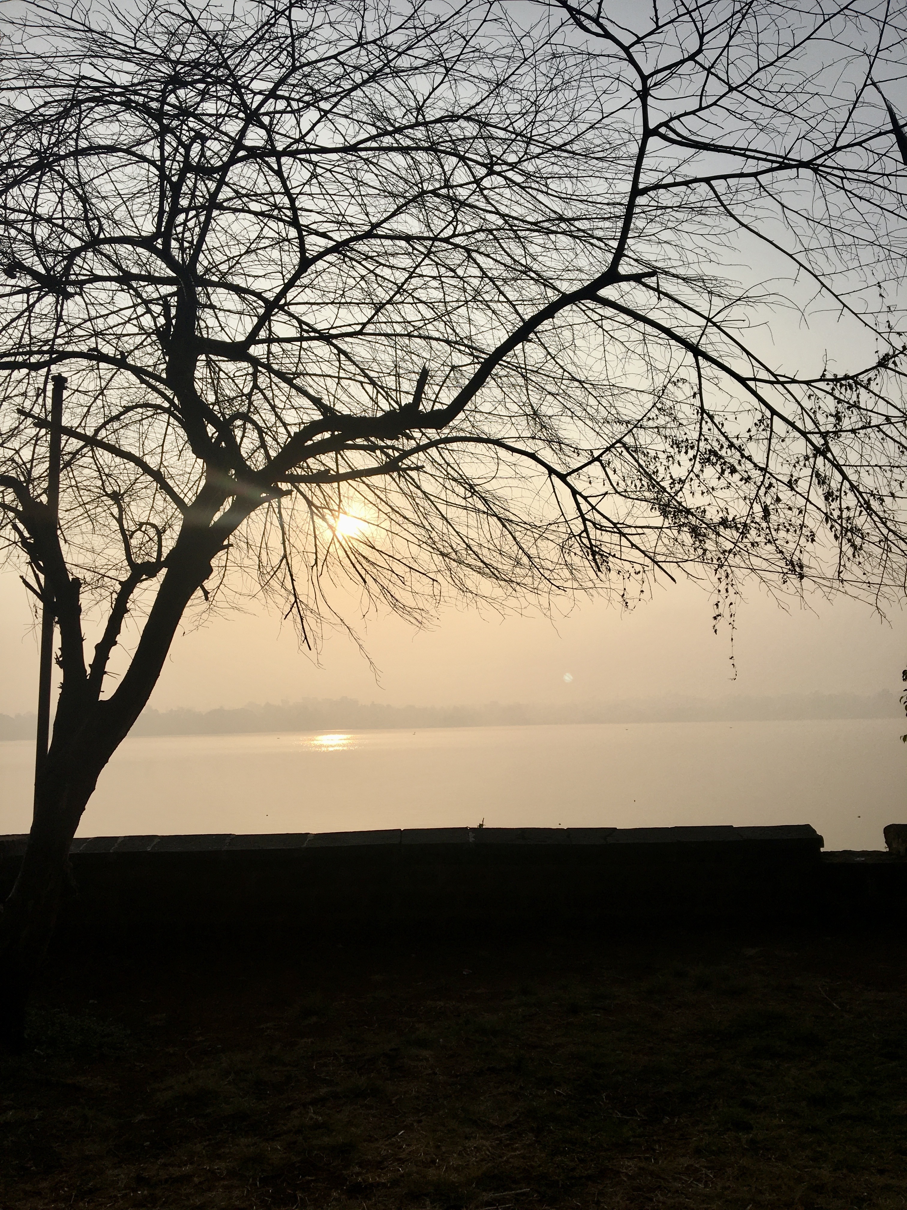 A leafless tree silhouetted against a hazy sunset over a calm body of water, with the sun reflecting on the water's surface and a clear sky above.