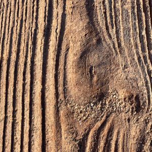 Floor texture marked by the passage of time, with cracks, irregular wear and uneven shades that reflect its age and prolonged use.