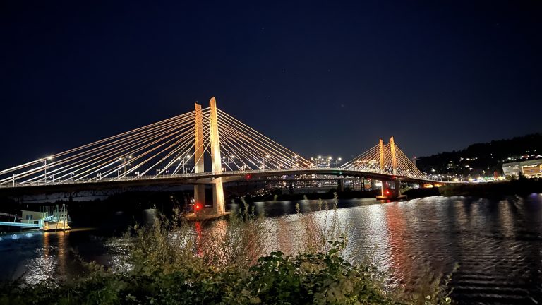 Tilikum Crossing Bridge lit up by bridge lights at nighttime (Portland, Oregon)