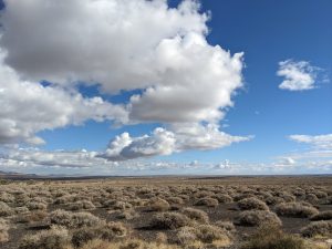 Desert Vista in Rural Nevada, USA