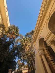 A bright, clear blue sky is seen above an ornate building with decorative architectural details, including arches and columns, on the right. Palm trees and lush greenery are present, casting shadows and adding a tropical feel to the scene. Garden of Dreams Kathmanu, Nepal.