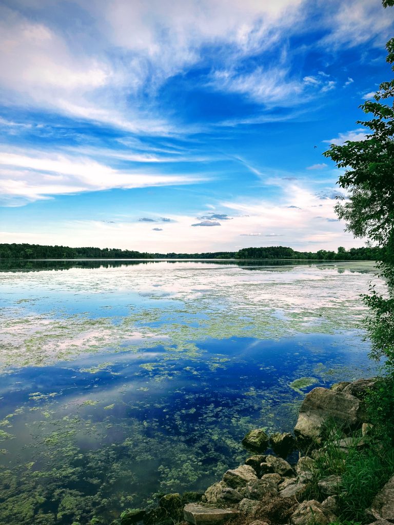 View of Vadnais Lake with rocks in the foreground lakeside, blue water with green algae scattered throughout, and a blue sky with wispy clouds in the background (Vadnais Heights, Minnesota)