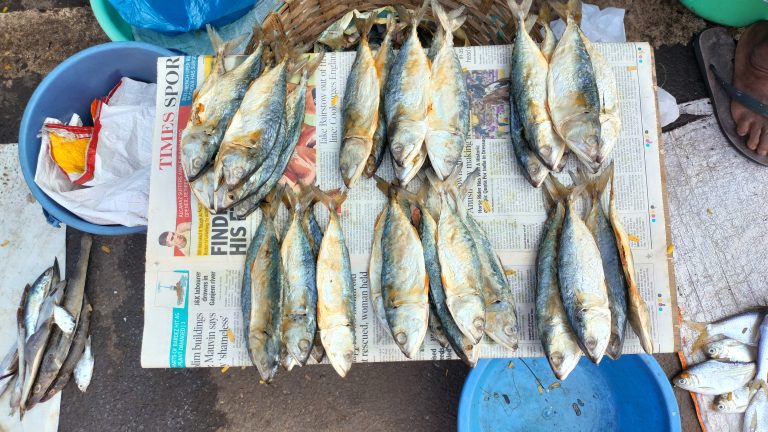 A variety of fresh fish are laid out for sale on a table covered with newspaper. There are multiple stacks of fish, and nearby are blue plastic bowls and a white plastic sack. The table is situated on a concrete surface, and the edge of a person’s foot wearing a sandal can be seen